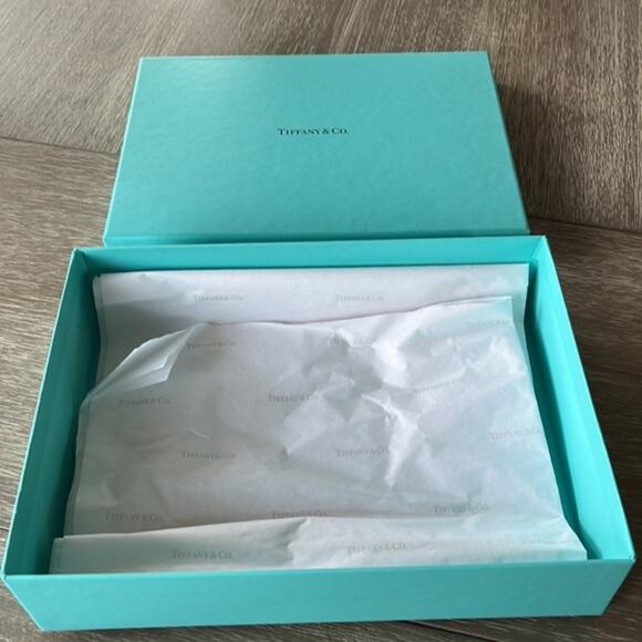 Tiffany & Co. Bag and Gift Box - Picture 9 of 12